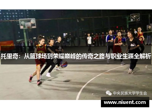 托里奇：从篮球场到荣耀巅峰的传奇之路与职业生涯全解析